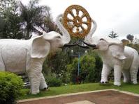 Feng Shui elephant: the meaning of the symbol and other animals What does the elephant represent