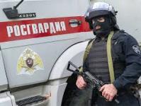 Rusijos nacionalinė gvardija (Rosgvardia) – nauji saugumo standartai Nacionalinės gvardijos sukūrimas